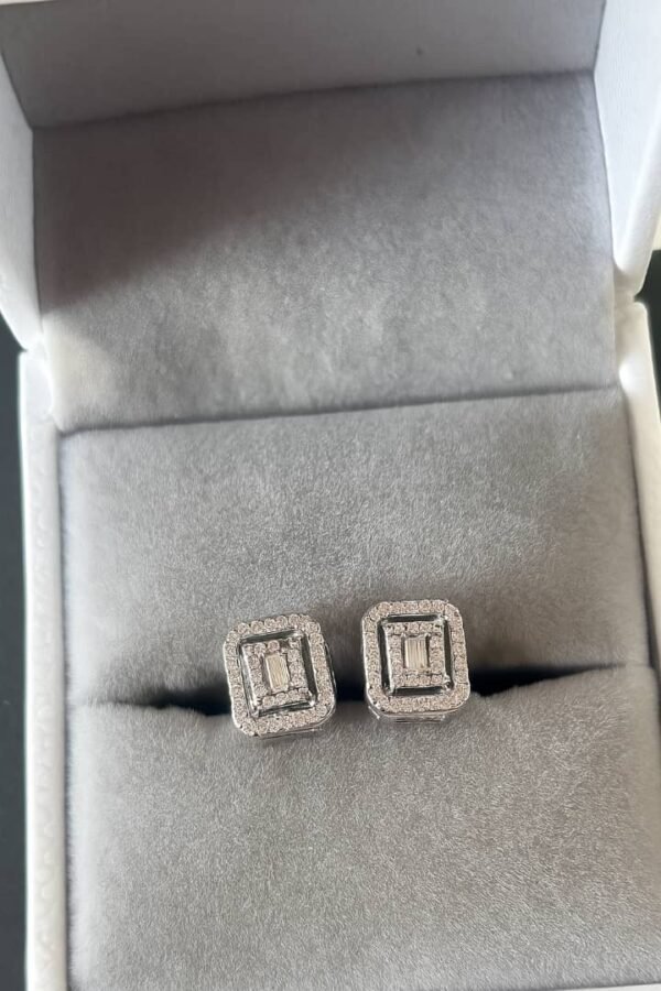 Archer Moissanite Earrings